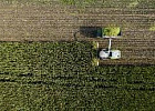 Кредитование сезонных полевых работ увеличилось на 3,1% Кредитование сезонных полевых работ увеличилось на 3,1%